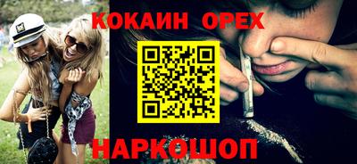 гашик Новозыбков