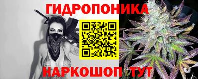 гашик Новозыбков