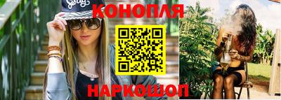 гашик Новозыбков