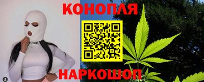 гашик Новозыбков