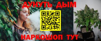 гашик Новозыбков